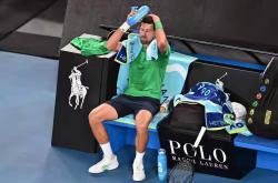 德约科维奇连续二十场比赛得分超过突破纪录，湖人挑战极限！的简单介绍